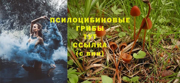 кокс Баксан