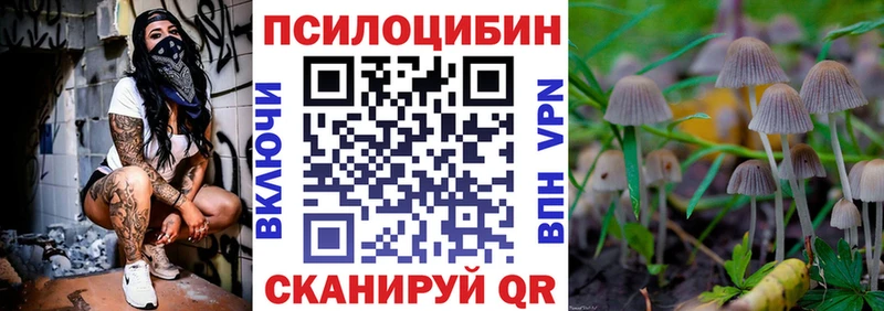 купить наркотик OMG рабочий сайт Псилоцибиновые грибы Cubensis Михайловка